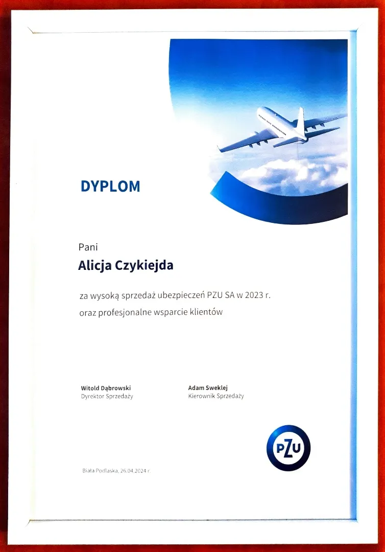 dyplom-pzu